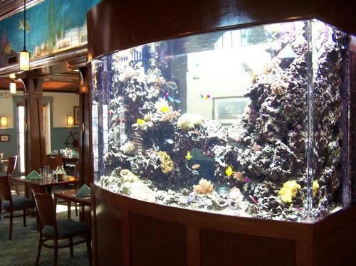 Aqua Culture 5-Gallon Glass Fish Tank LED Aquarium Starter Kit - Walmart.com